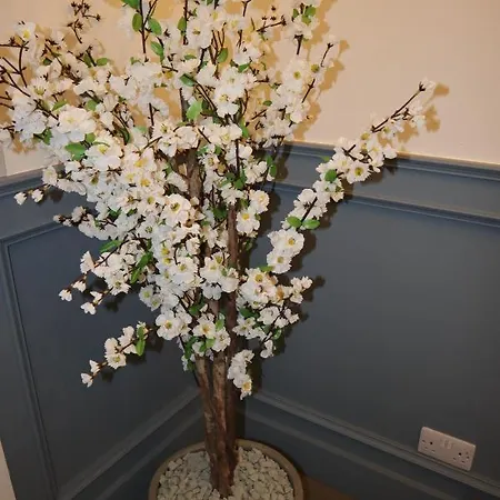 Domek letniskowy The *