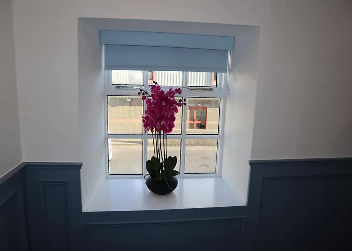 Lodge The Ballina (Mayo)